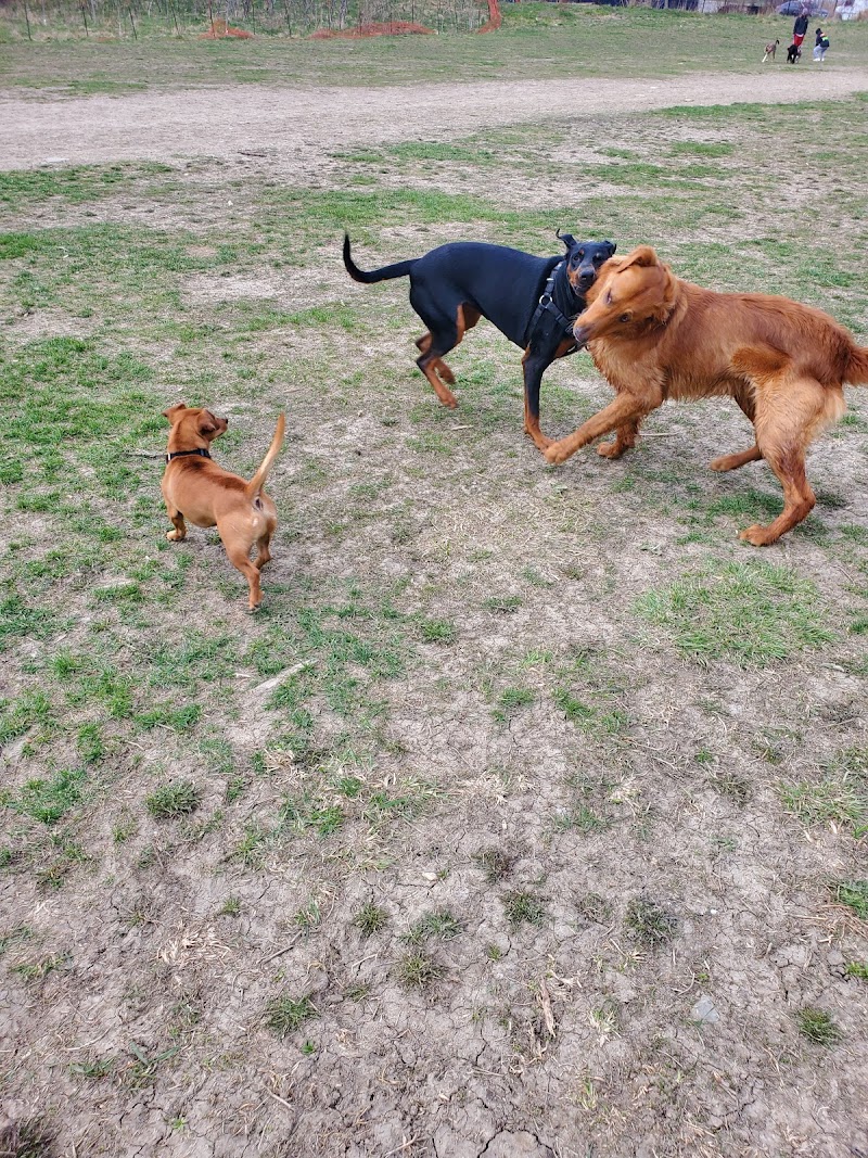 Etobicoke Creek Offleash Dog Park dog park in Mississauga, Ontario