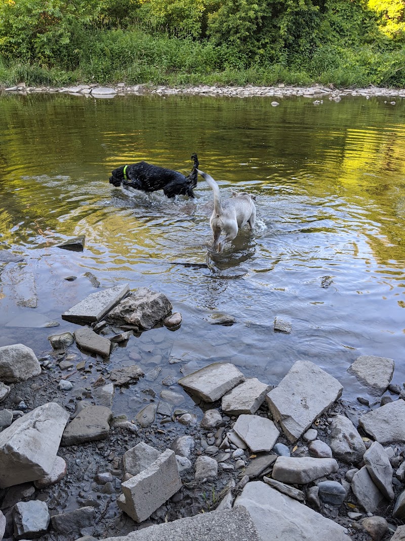 Etobicoke Creek Offleash Dog Park dog park in Mississauga, Ontario