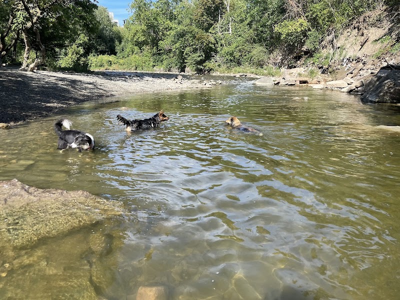 Etobicoke Creek Offleash Dog Park dog park in Mississauga, Ontario
