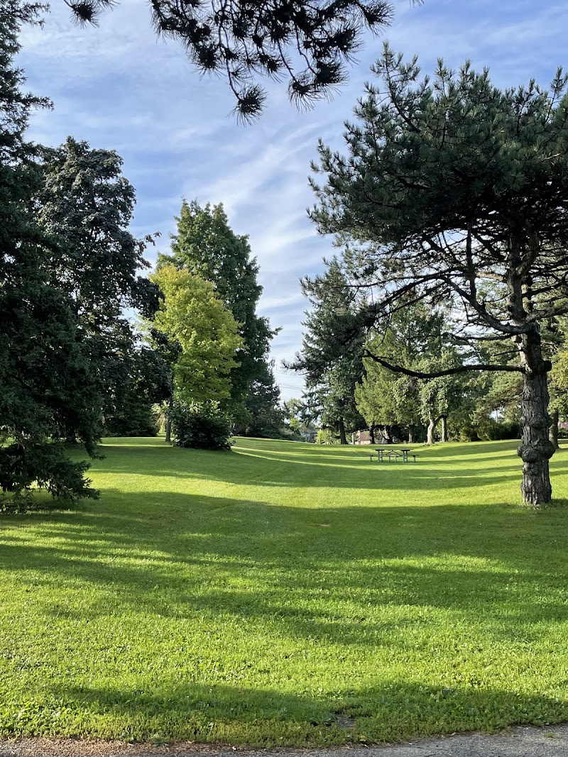 Thomson Memorial Park Dogs Off-Leash Area dog park in Scarborough, Ontario