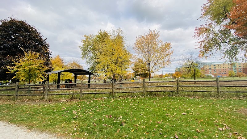 Thomson Memorial Park Dogs Off-Leash Area dog park in Scarborough, Ontario
