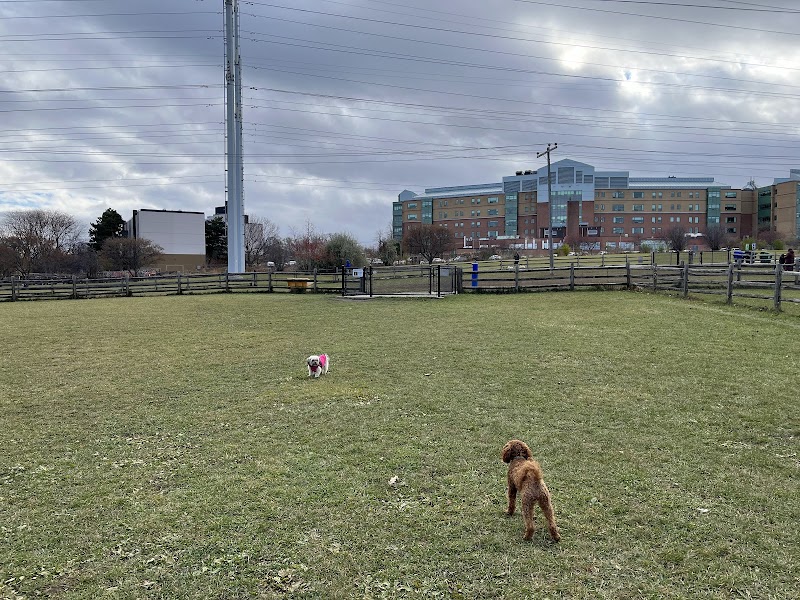 Thomson Memorial Park Dogs Off-Leash Area dog park in Scarborough, Ontario