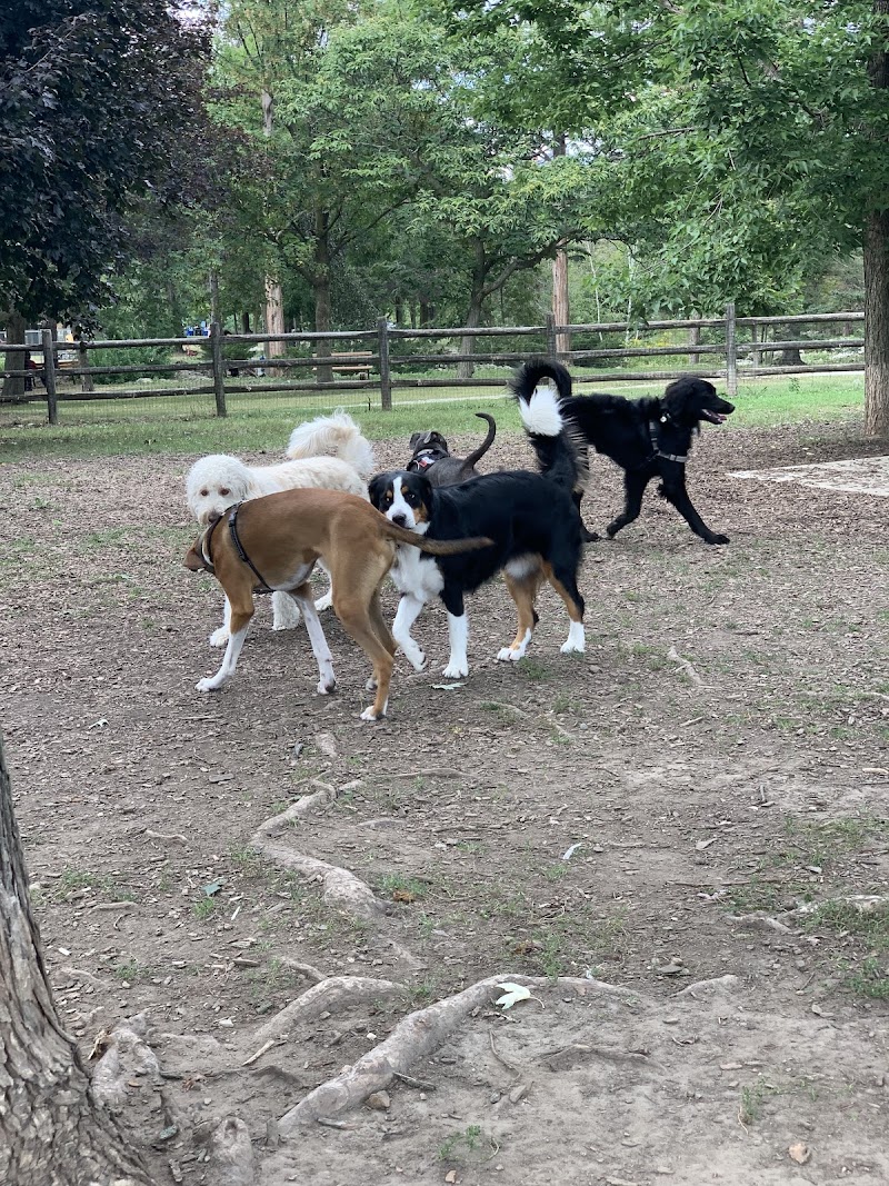 Thomson Memorial Park Dogs Off-Leash Area dog park in Scarborough, Ontario