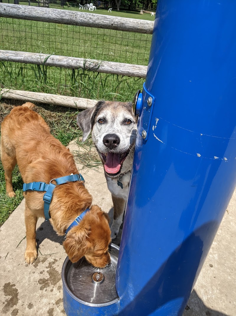 Thomson Memorial Park Dogs Off-Leash Area dog park in Scarborough, Ontario