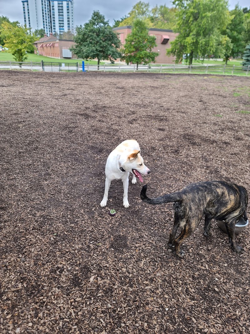 Scarborough Heights Park Off Leash Dog Park dog park in Toronto, Ontario