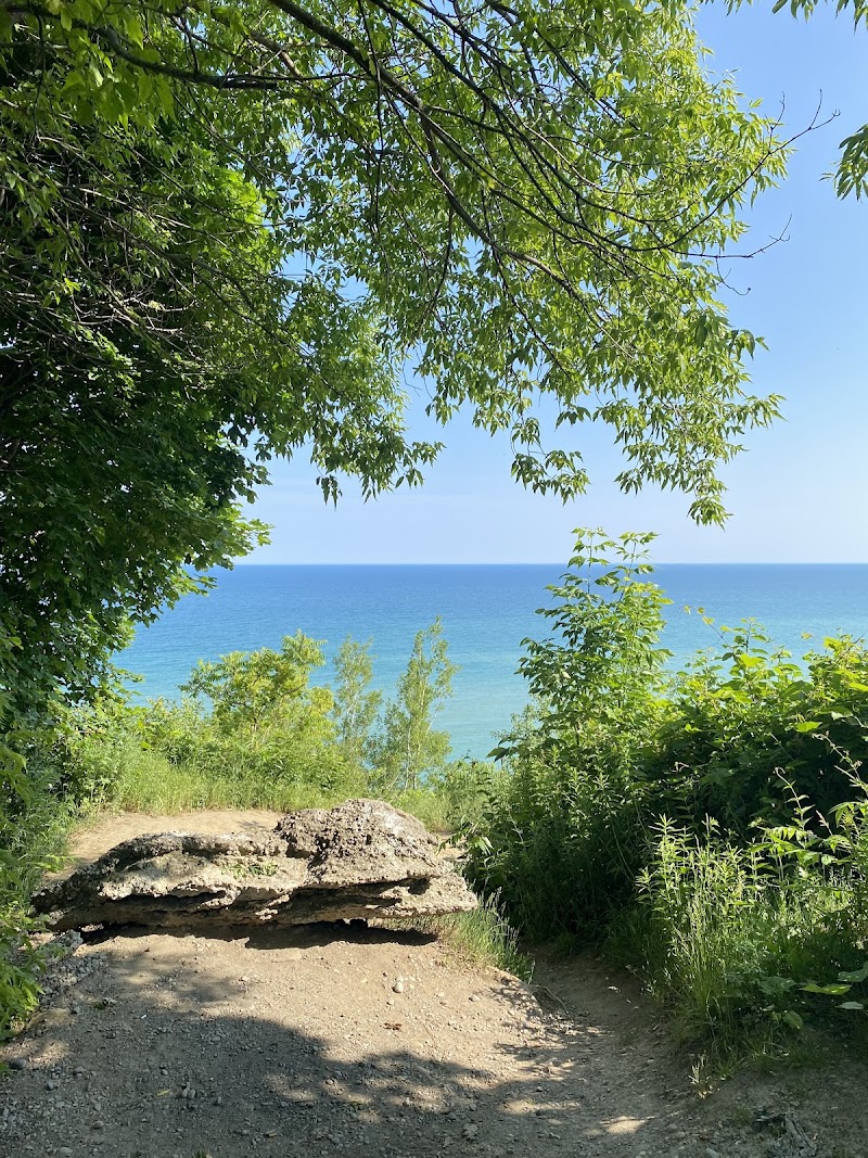 Scarborough Heights Park Off Leash Dog Park dog park in Toronto, Ontario