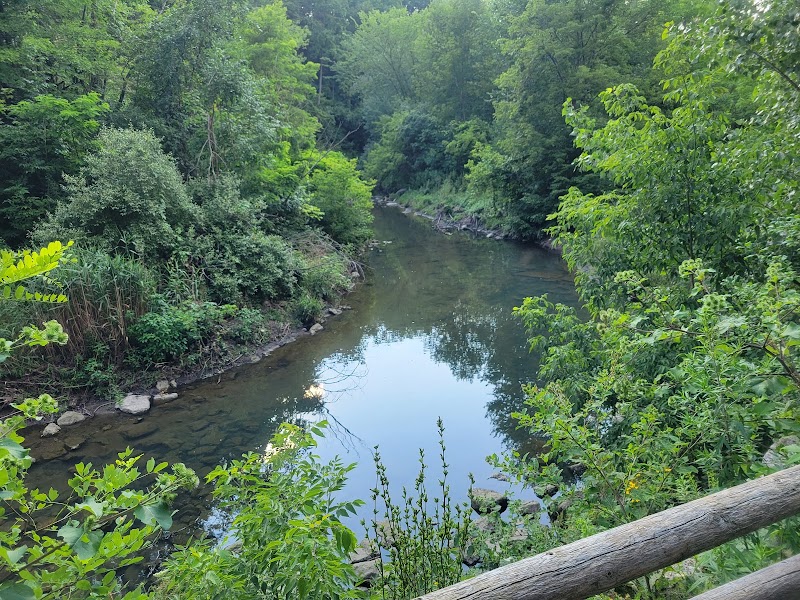Warden Woods Off-Leash Dog Park dog park in Toronto, Ontario