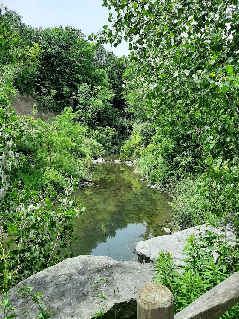 Warden Woods Off-Leash Dog Park dog park in Toronto, Ontario