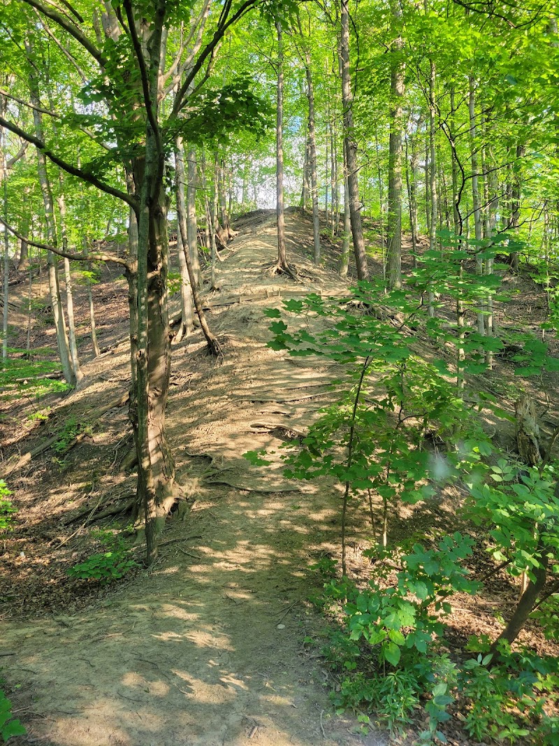 Warden Woods Off-Leash Dog Park dog park in Toronto, Ontario