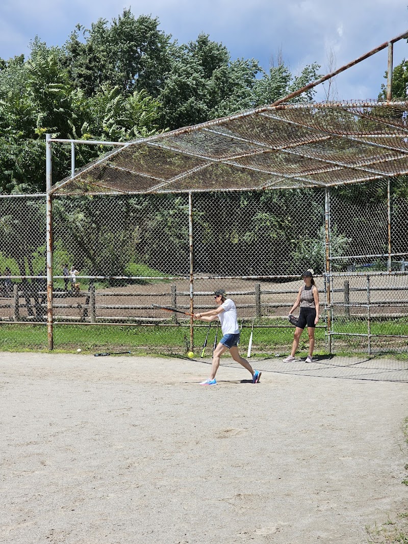 Withrow Park: Unleashed Dog Area dog park in Toronto, Ontario