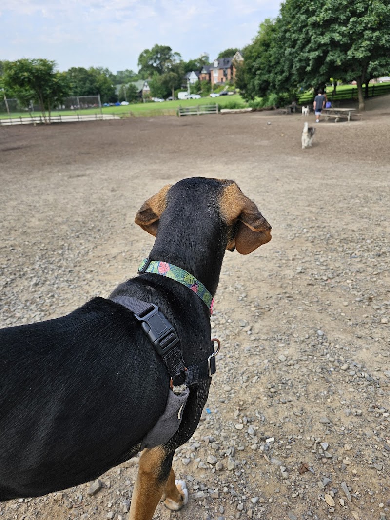 Withrow Park: Unleashed Dog Area dog park in Toronto, Ontario