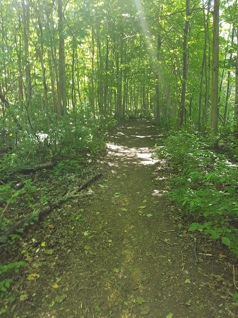 G. Ross Lord Dog Park dog park in North York, Ontario