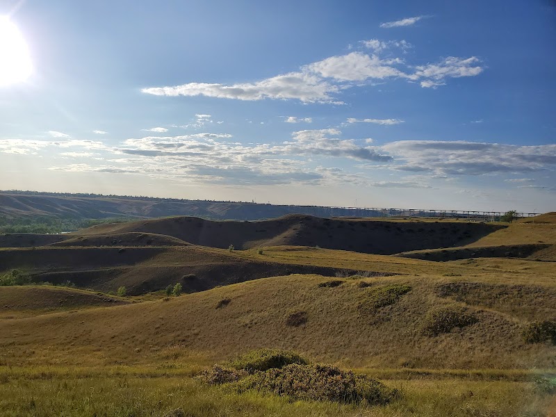 Scenic Drive Dog Run dog park in Lethbridge, Alberta