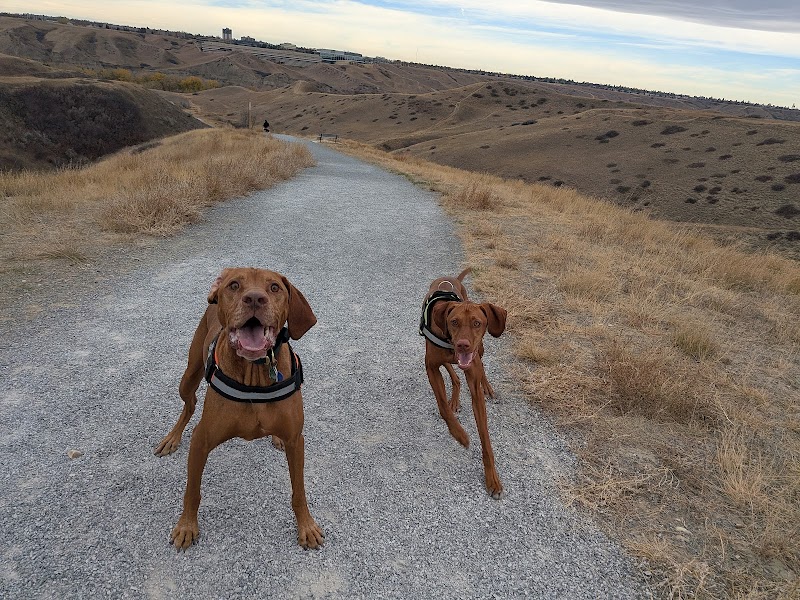 Scenic Drive Dog Run dog park in Lethbridge, Alberta