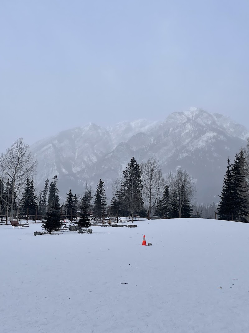 Banff rec-grounds dog park dog park in Banff, Alberta
