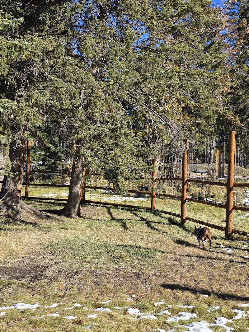 Banff rec-grounds dog park dog park in Banff, Alberta