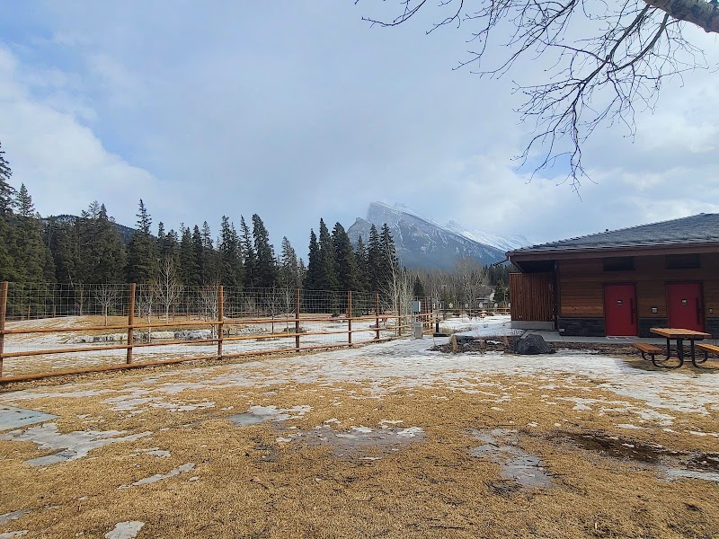 Banff rec-grounds dog park dog park in Banff, Alberta