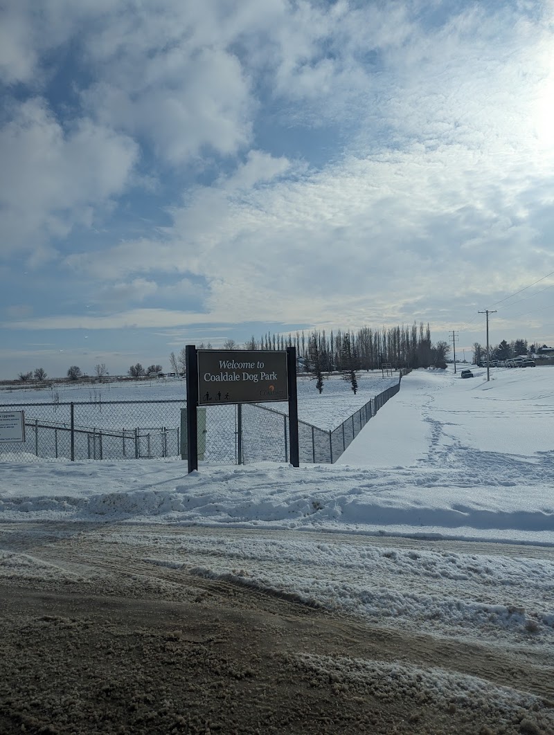Coaldale Off-Leash Dog Park dog park in Coaldale, Alberta
