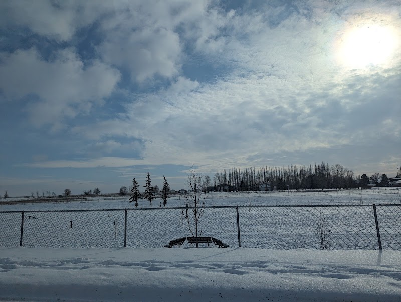 Coaldale Off-Leash Dog Park dog park in Coaldale, Alberta