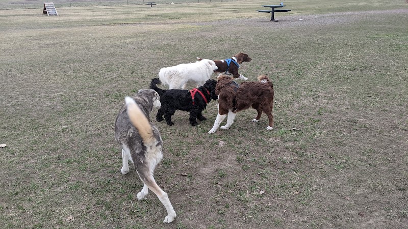 Town Of Strathmore Dog Park dog park in Strathmore, Alberta