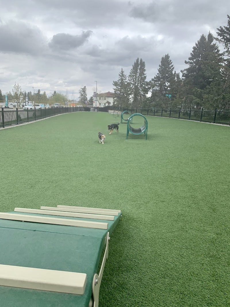 Currie Bark Park dog park in Calgary, Alberta
