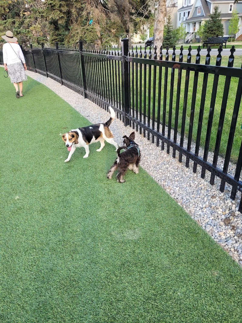 Currie Bark Park dog park in Calgary, Alberta