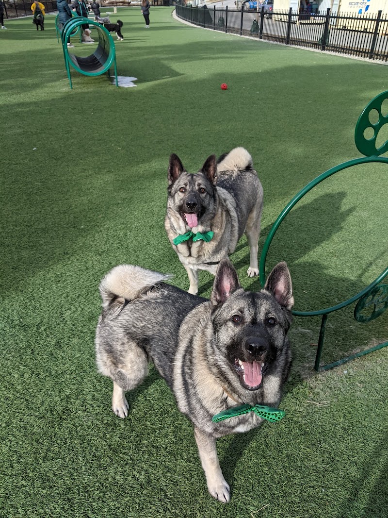 Currie Bark Park dog park in Calgary, Alberta