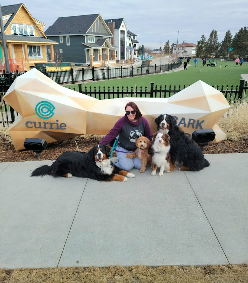 Currie Bark Park dog park in Calgary, Alberta