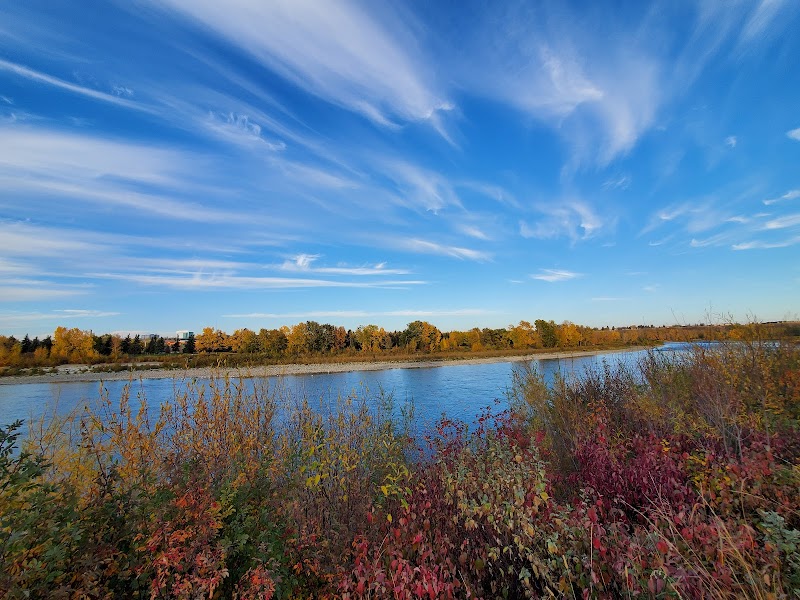 Albert Park Radisson Heights Off Leash Area dog park in Calgary, Alberta