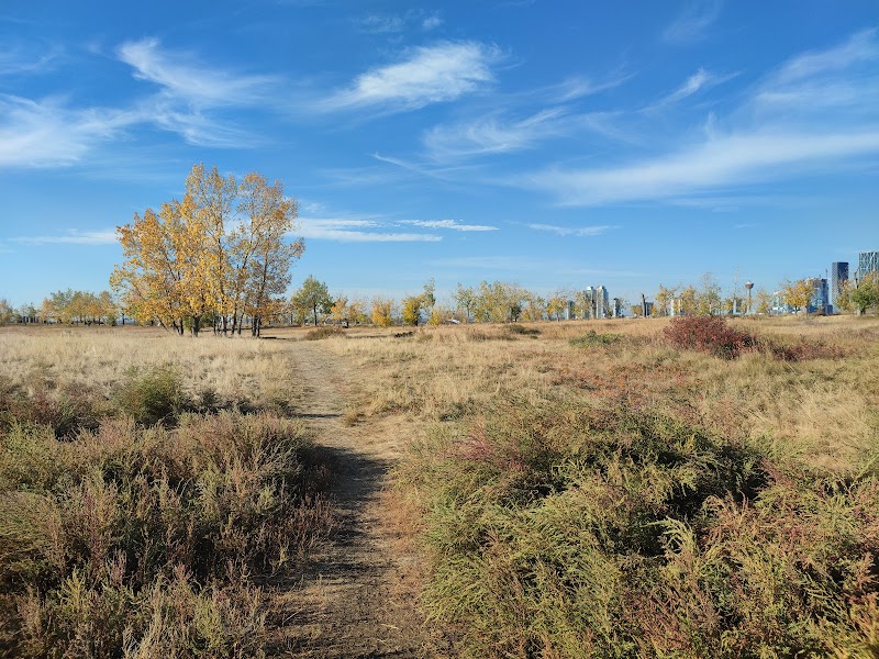 Tom Campbell's Hill Off Leash Dog Park dog park in Calgary, Alberta