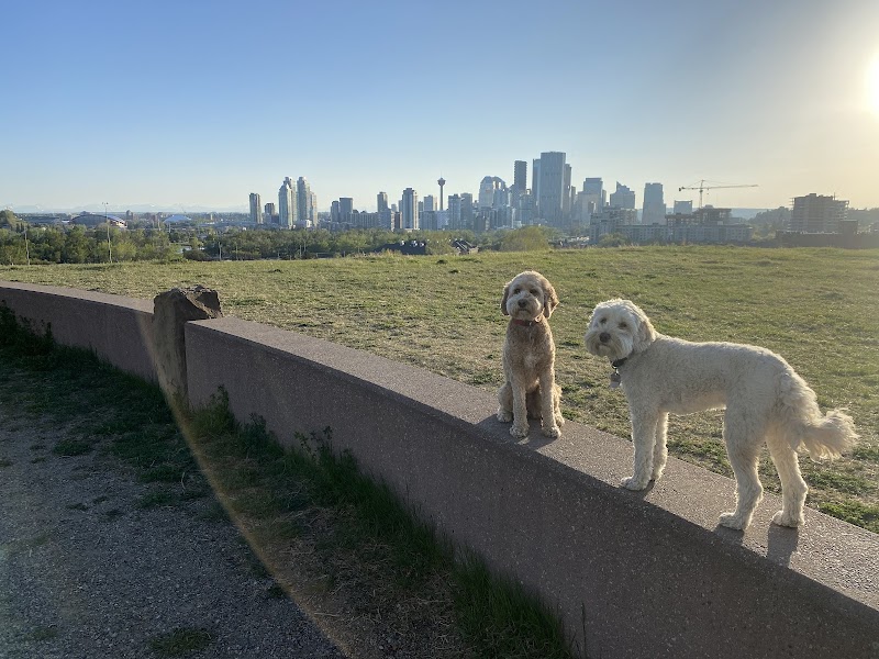 Tom Campbell's Hill Off Leash Dog Park dog park in Calgary, Alberta