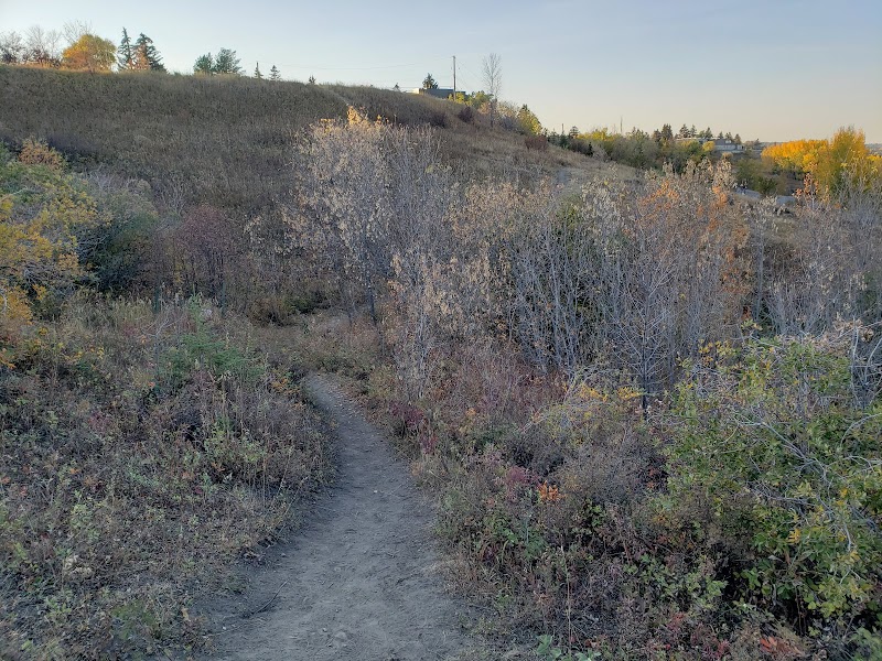 Winston Heights Off Leash Area dog park in Calgary, Alberta