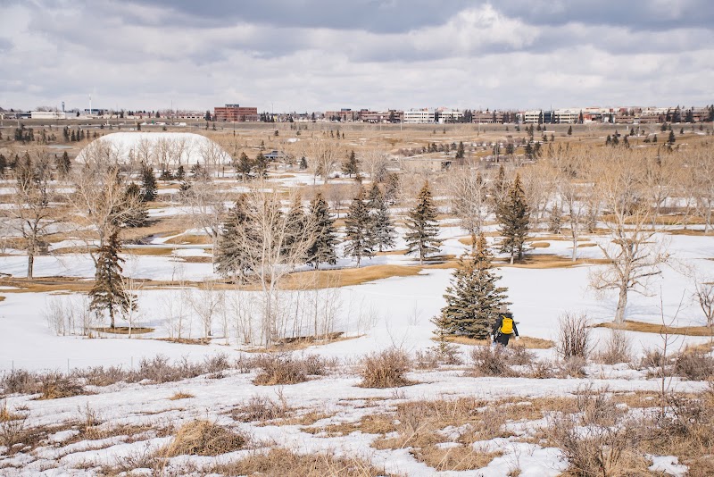 Winston Heights Off Leash Area dog park in Calgary, Alberta