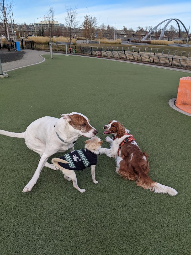 EV Dog Park dog park in Calgary, Alberta