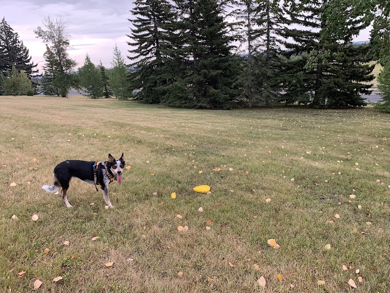 Cambrian Heights Off-leash Dog Park dog park in Calgary, Alberta