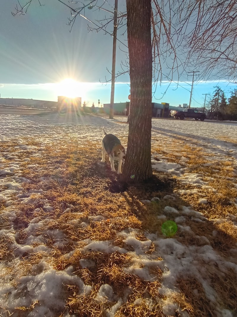 Mayland Heights Off Leash Dog Park dog park in Calgary, Alberta