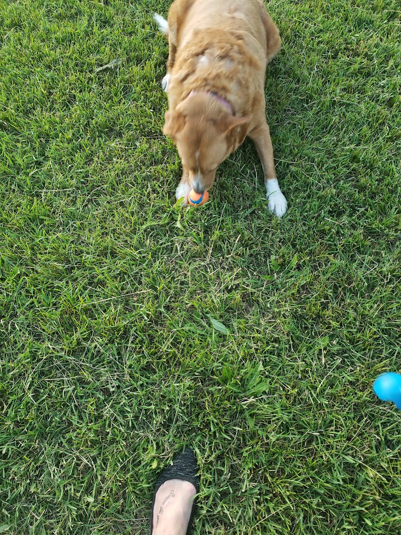 Mayland Heights Off Leash Dog Park dog park in Calgary, Alberta