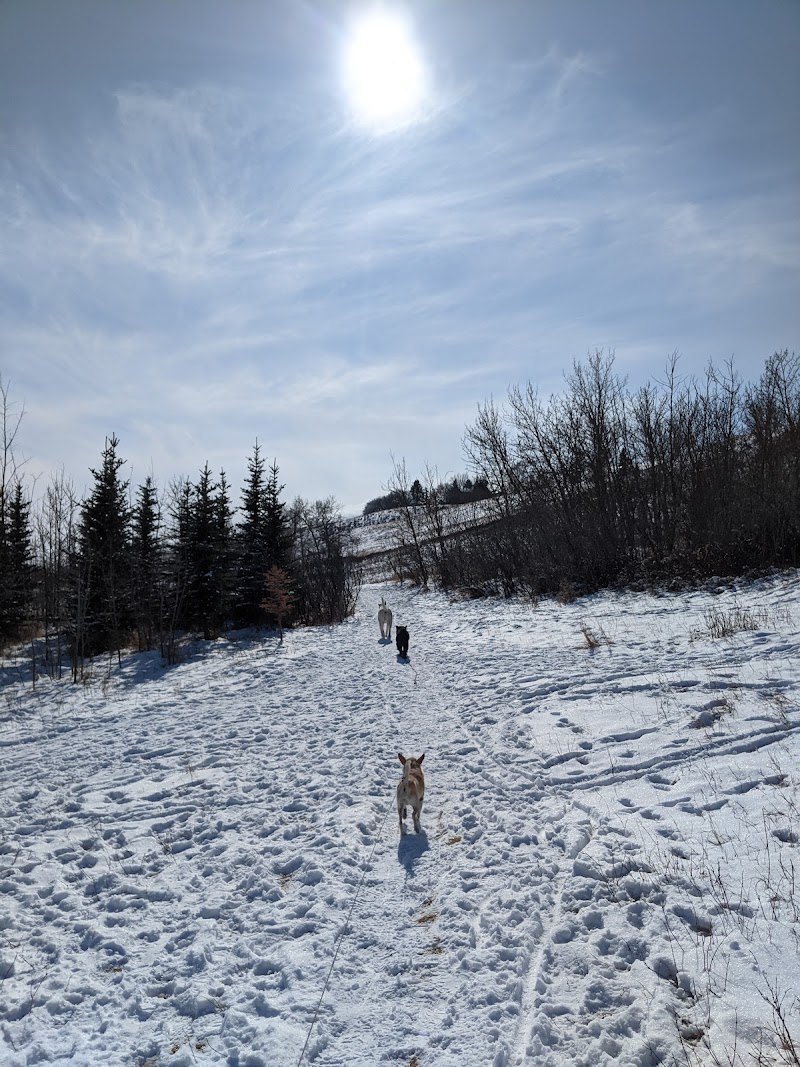 Renfrew Off Leash Park dog park in Calgary, Alberta