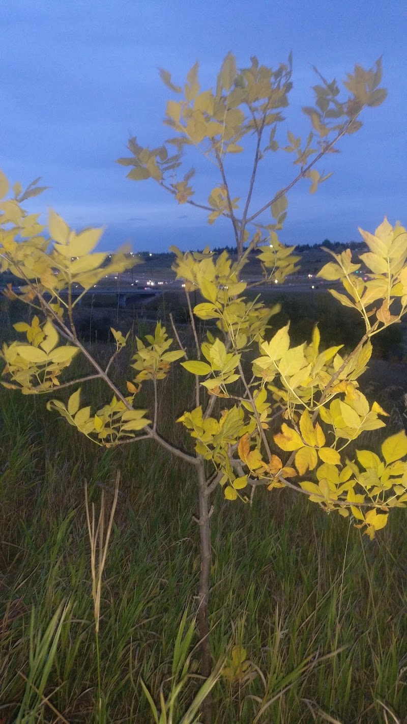 Renfrew Off Leash Park dog park in Calgary, Alberta
