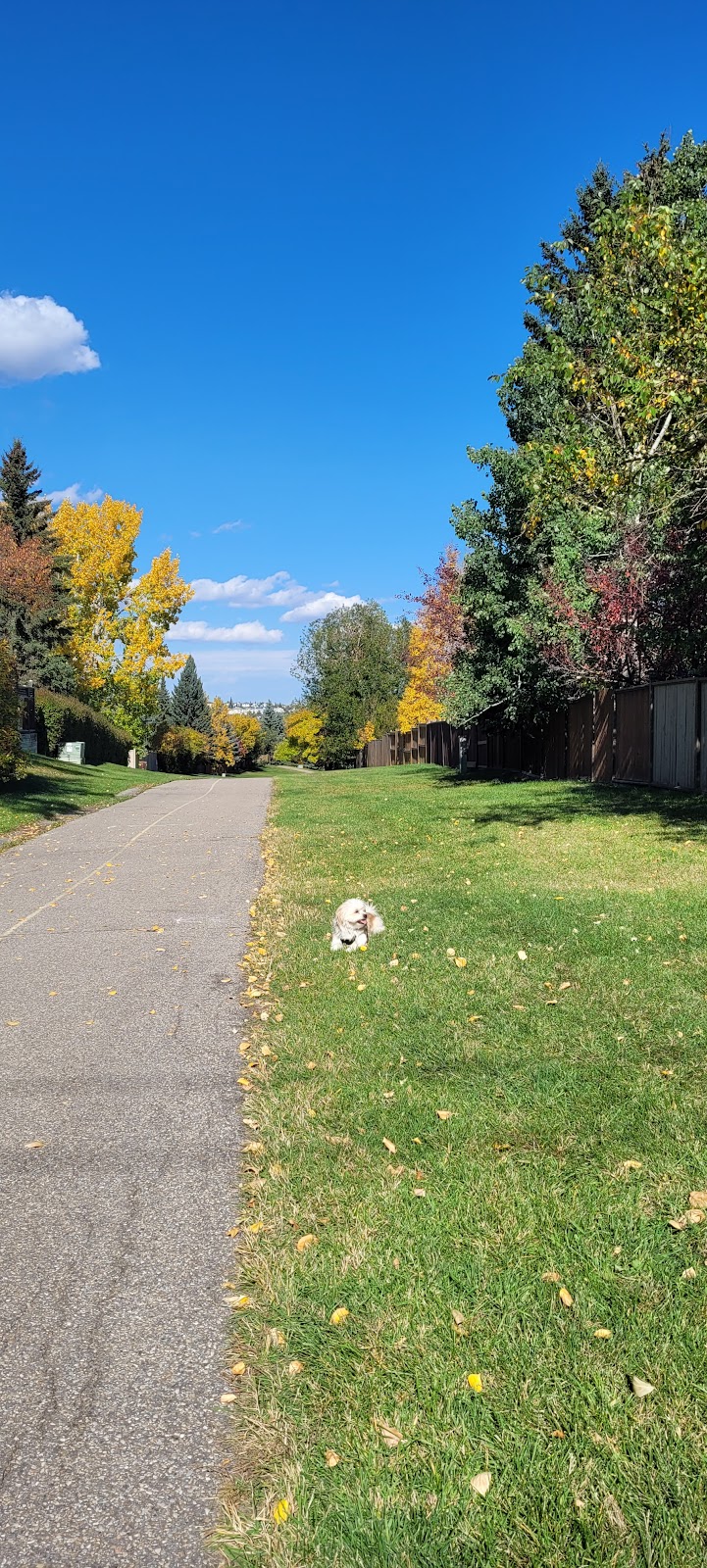 Beddington Area 1 Off Leash Dog Park dog park in Calgary, Alberta