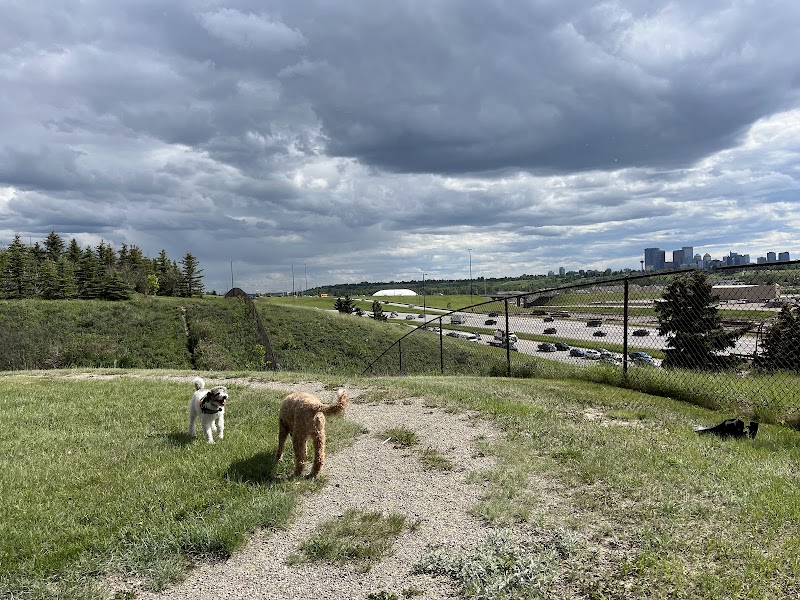 McCall Lake Off Leash Dog Park dog park in Calgary, Alberta