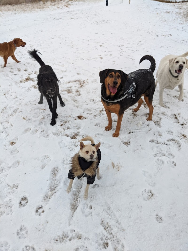 Taradale Off Leash Dog Park dog park in Calgary, Alberta