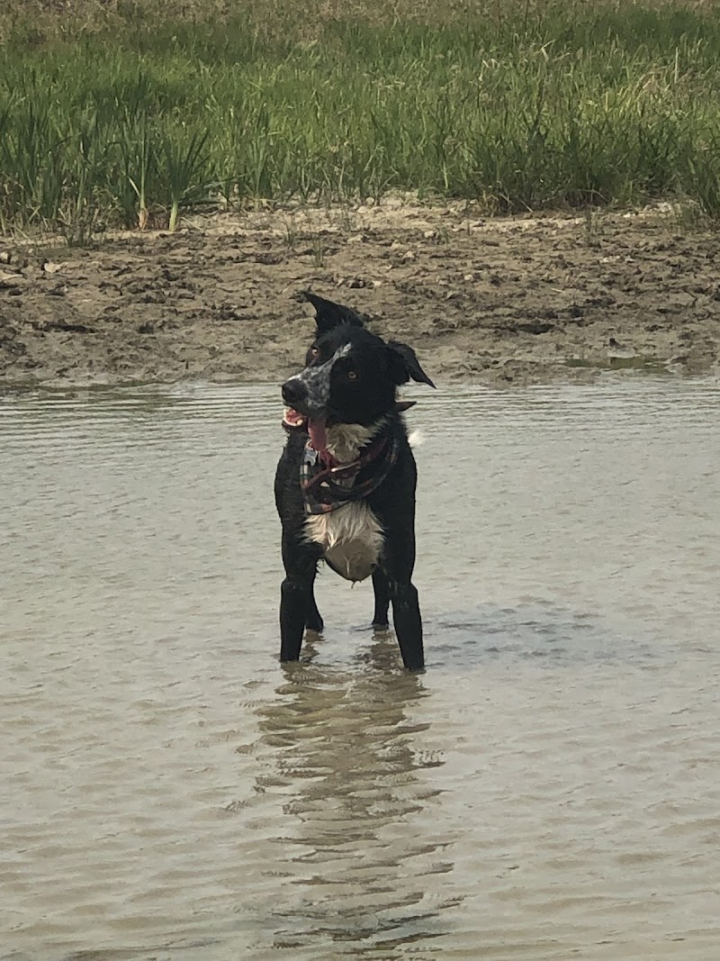 Taradale Off Leash Dog Park dog park in Calgary, Alberta