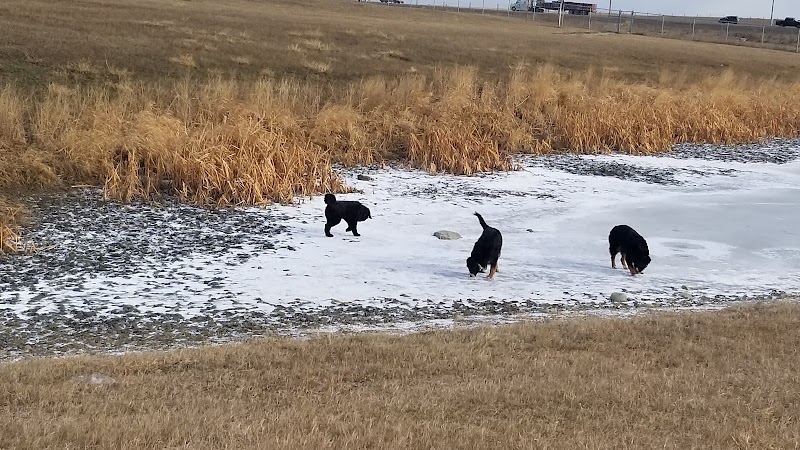 Taradale Off Leash Dog Park dog park in Calgary, Alberta