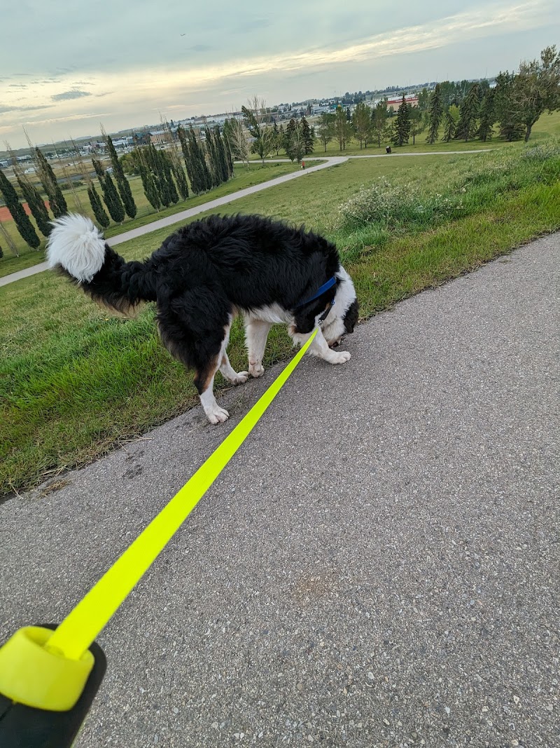 Thorncliff Off Leash Dog Park dog park in Calgary, Alberta