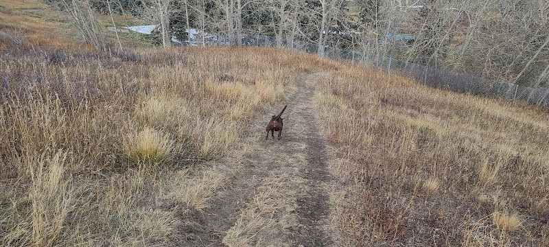 Thorncliff Off Leash Dog Park dog park in Calgary, Alberta