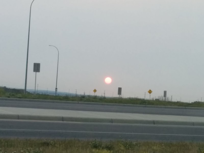 Martindale Off-Leash Park dog park in Calgary, Alberta