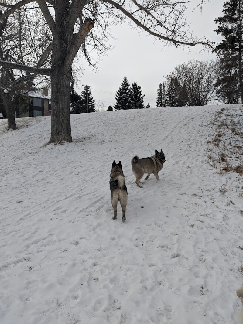 Shaganappi Off Leash Dog Park dog park in Calgary, Alberta
