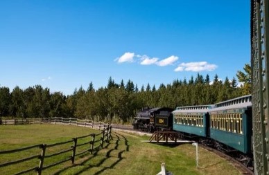 Beddington Area 3 Off Leash Dog Park dog park in Calgary, Alberta