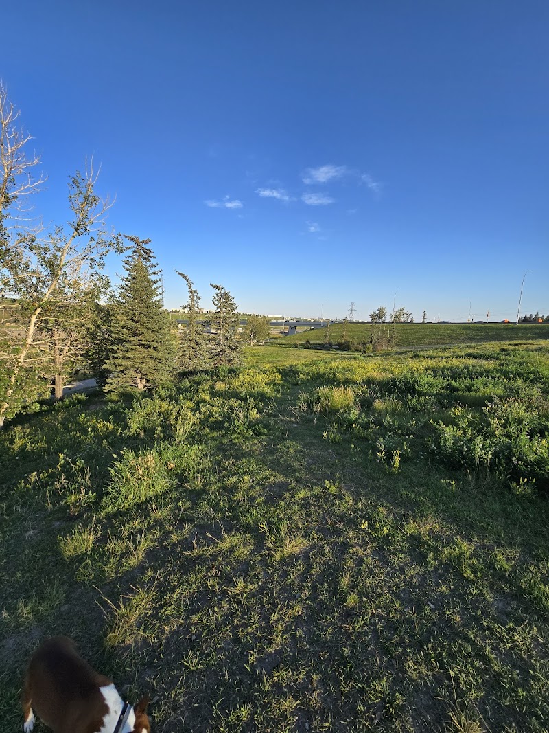 West Nose Creek Off Leash Area dog park in Calgary, Alberta